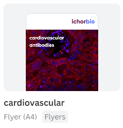 Cardiovascular Flyer