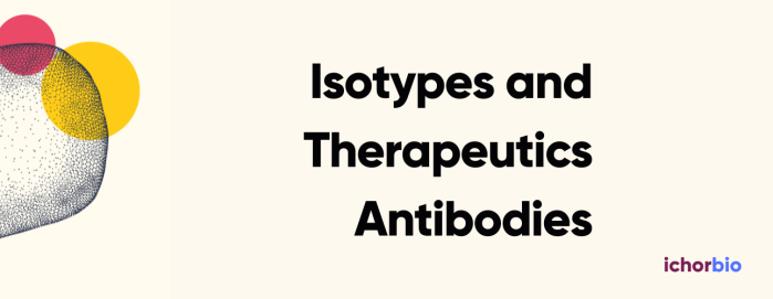 Therapeutic Applications of Immunoglobulin Isotypes: Current Understanding and Future Directions