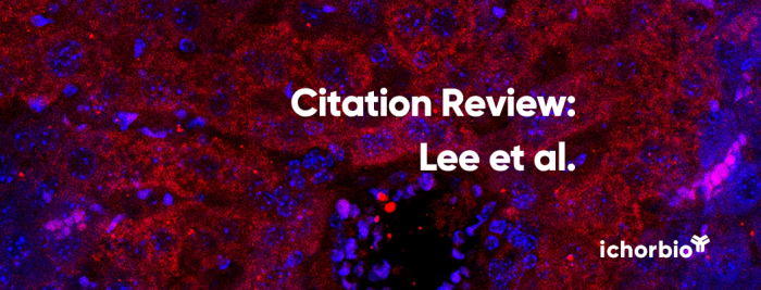 Precision Glycomics: Leveraging Isotope Labeling for Enhanced Biosimilarity Assessment