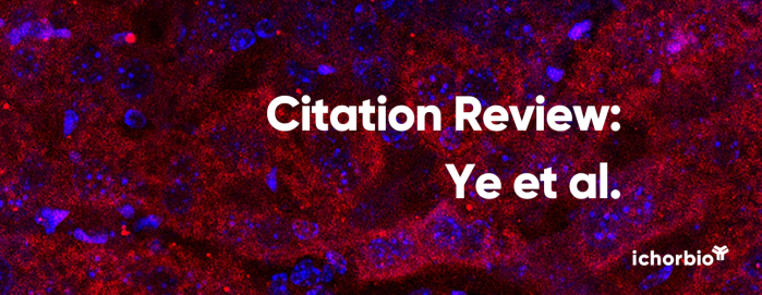 Oncolytic Virus Expressing Non-Secreted DR-18 Cytokine Induces Potent, Systemic Antitumor Immunity