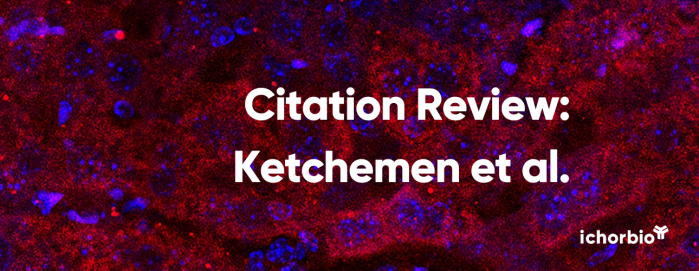  New Frontiers in Cancer Treatment: Unveiling the Potential of 3p-C-DEPA Chelators for Actinium-225 Targeted Alpha Therapy