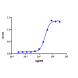 When human CD40 is immobilized at 2µg/mL (100 µL/well), the concentration for 50% of maximal effect (EC50) of ichorbio's dacetuzumab biosimilar is 0.071ug/ml.