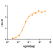 When human FOLR1 is immobilized at 2µg/mL (100 µL/well), the concentration for 50% of maximal effect(EC50) of ichorbio's farletuzumab biosimilar is 0.00136 ug/ml.