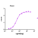 When human TACSTD2 is immobilized at 2µg/mL (100 µL/well), the concentration for 50% of maximal effect (EC50) of this ichorbio sacituzumab biosimilar is 0.001409 ug/ml