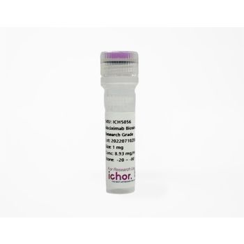 Image of ichorbio's Bulk anti-human CD25 antibody (7G7B6) [ICH1163]