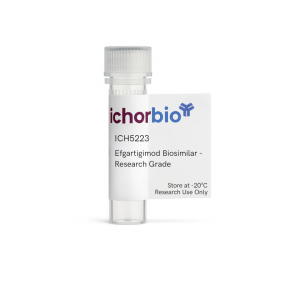 Efgartigimod Biosimilar - Research Grade