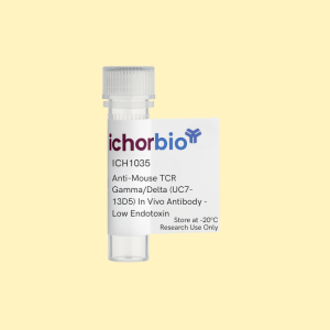 Anti-Mouse TCR Gamma/Delta (UC7-13D5) In Vivo Antibody - Low Endotoxin