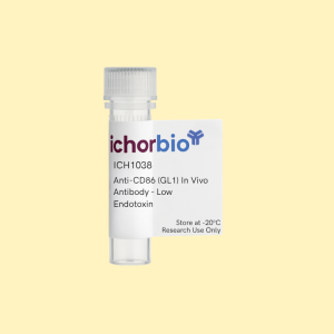 Anti-CD86 (GL1) In Vivo Antibody - Low Endotoxin