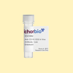 Anti-CD19 (1D3) In Vivo Antibody - Low Endotoxin