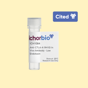 Anti-CTLA-4 (9H10) In Vivo Antibody - Low Endotoxin
