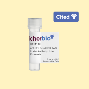 Anti-IFN Beta (HDB-4A7) In Vivo Antibody - Low Endotoxin