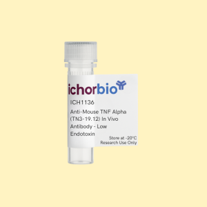 Anti-Mouse TNF Alpha (TN3-19.12) In Vivo Antibody - Low Endotoxin