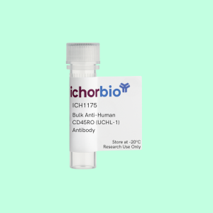 Bulk Anti-Human CD45RO (UCHL-1) Antibody