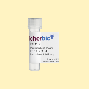 Anti-Mouse PD-1 (RMP1-14) Recombinant Antibody