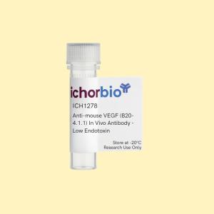 Anti-mouse VEGF (B20-4.1.1) In Vivo Antibody - Low Endotoxin