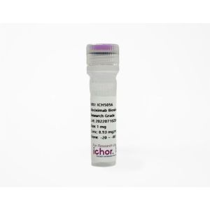 Anti-Mouse CD22 (MB22-11) In Vivo Antibody - Low Endotoxin