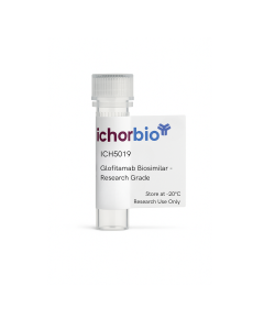 Glofitamab Biosimilar - Research Grade