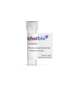 Blinatumomab Biosimilar - Research Grade