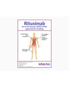 Rituximab Biosimilar (LALAPG) - Research Grade