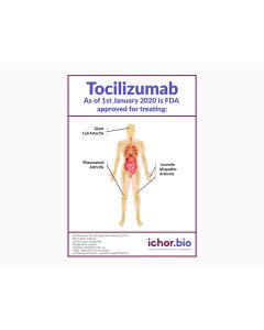 Tocilizumab Biosimilar - Research Grade