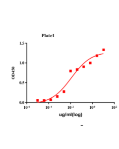 Tafasitamab Biosimilar - Research Grade