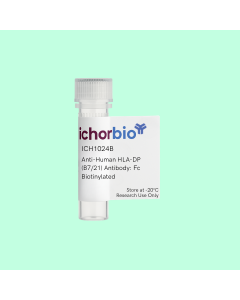 Anti-Human HLA-DP (B7/21) Antibody: Fc Biotinylated