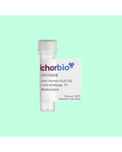 Anti-Human HLA-DQ (1a3) Antibody: Fc Biotinylated