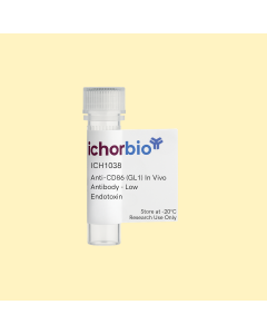 Anti-CD86 (GL1) In Vivo Antibody - Low Endotoxin