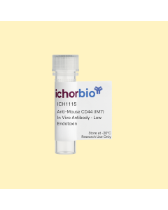 Anti-Mouse CD44 (IM7) In Vivo Antibody - Low Endotoxin