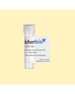 Mouse Anti-Mouse PD-L1 (10F.9G2) Recombinant Antibody