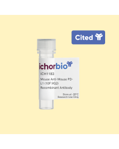 Mouse Anti-Mouse PD-L1 (10F.9G2) Recombinant Antibody