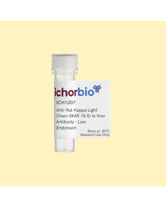 Anti-Rat Kappa Light Chain (MAR 18.5) In Vivo Antibody - Low Endotoxin