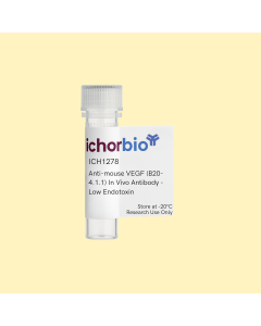 Anti-mouse VEGF (B20-4.1.1) In Vivo Antibody - Low Endotoxin