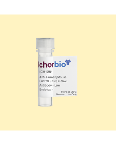 Anti-Human/Mouse GRP78 (C38) In Vivo Antibody - Low Endotoxin