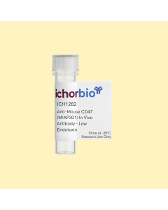 Anti-Mouse CD47 (MIAP301) In Vivo Antibody - Low Endotoxin