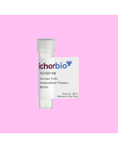 Human FcRn heterodimer Protein - Biotin