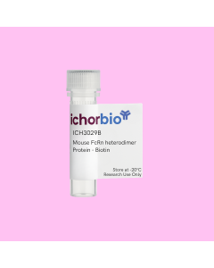 Mouse FcRn heterodimer Protein - Biotin