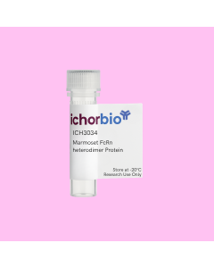 Marmoset FcRn heterodimer Protein