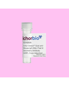 Ichor-Detect™ Goat anti-Mouse IgG (H&L) F(ab')2 Secondary Antibody (HRP), Cross-Adsorbed
