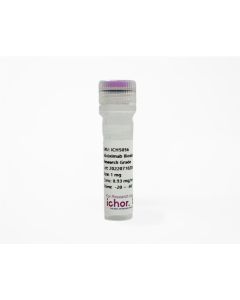 Dafsolimab Biosimilar - Research Grade