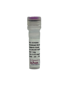 Mouse Immune CheckPoint Antibody Panel