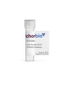 Anti-Human CD19 (FMC63) Antibody