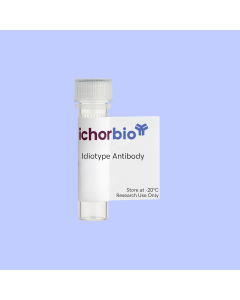Anti-Pertuzumab Idiotype Antibody (Neutralizing)