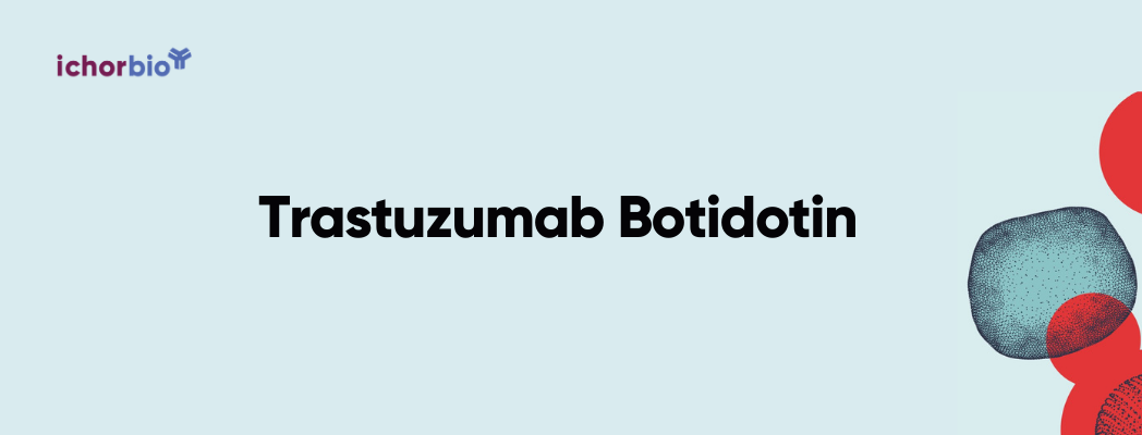 A Researcher’s Guide to Trastuzumab Botidotin: Structure, Mechanism of Action, and Clinical Efficacy