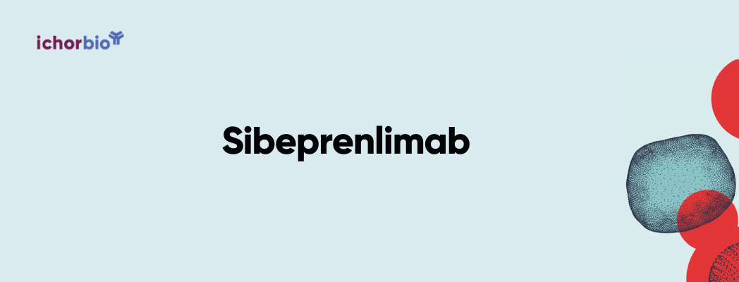 A Researcher’s Guide to Sibeprenlimab: Structure, Mechanism of Action, and Clinical Efficacy in IgAN