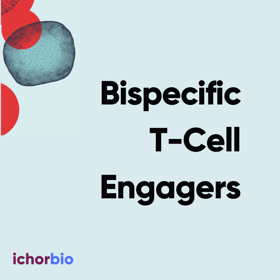 Beyond Immune Checkpoint Inhibition: Bispecific T-cell Engagers