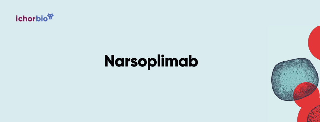 A Researcher’s Guide to Narsoplimab: Structure, Mechanism of Action, and Clinical Efficacy in TA-TMA