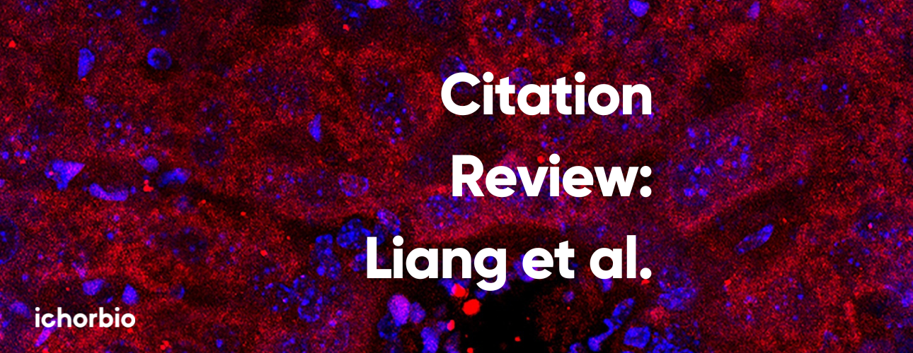 Riluzole Enhances Anti-PD-1 Efficacy in Colorectal Cancer by Activating cGAS/STING Signaling