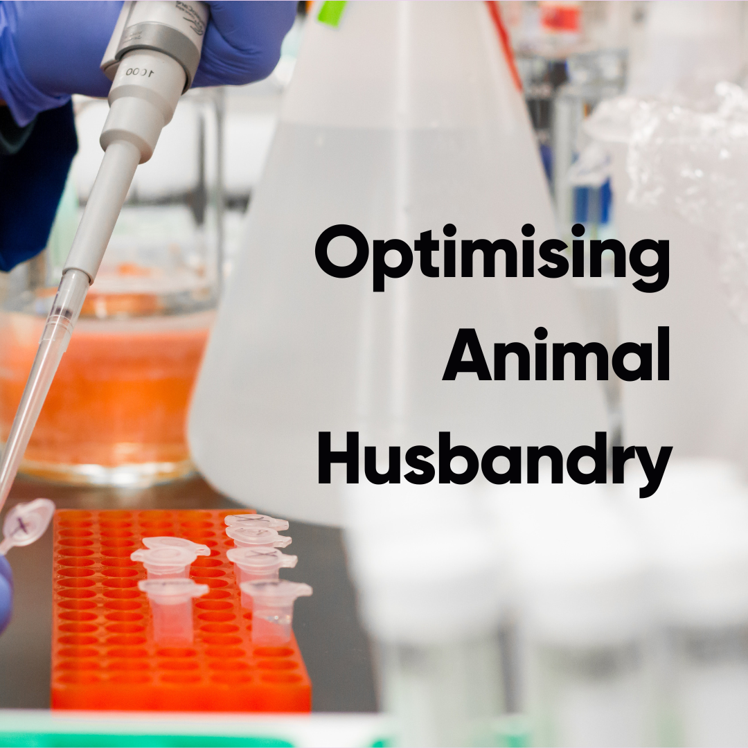 Optimising Animal Husbandry