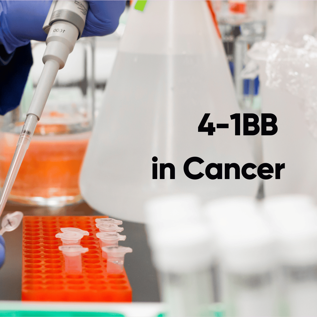 Harnessing 4-1BB Immunomodulation for Cancer Therapy